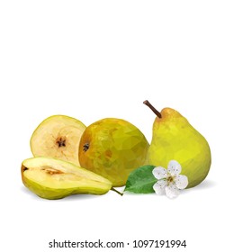 Fresh, nutritious and tasty pears. Bloom of pear. Symbols of fruits. Elements for label design. Vector illustration. Fruits ingredients in triangulation technique. Pears low poly.