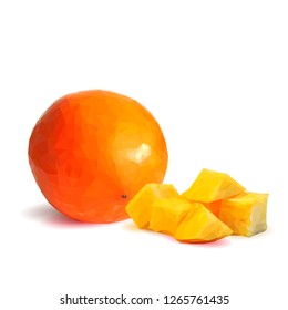 Fresh, nutritious and tasty persimmon. Symbols of fruits. Elements for label design. Vector illustration. Fruits ingredients in triangulation technique. Persimmon low poly.