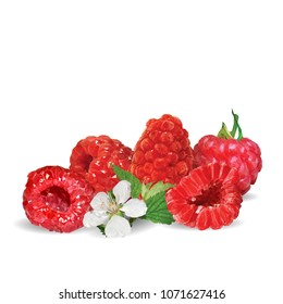 Fresh, nutritious and tasty raspberries. Bloom of raspberries. Symbols of berries. Elements for label design. Vector illustration. Berries ingredients in triangulation technique. Raspberries low poly.