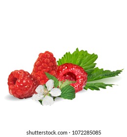 Fresh, nutritious and tasty raspberries. Bloom of raspberries. Symbols of berries. Elements for label design. Vector illustration. Berries ingredients in triangulation technique. Raspberries low poly.