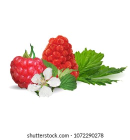 Fresh, nutritious and tasty raspberries. Bloom of raspberries. Symbols of berries. Elements for label design. Vector illustration. Berries ingredients in triangulation technique. Raspberries low poly.