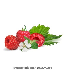 Fresh, nutritious and tasty raspberries. Bloom of raspberries. Symbols of berries. Elements for label design. Vector illustration. Berries ingredients in triangulation technique. Raspberries low poly.