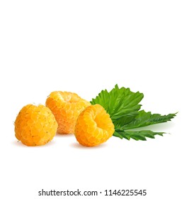 Fresh, nutritious and tasty raspberries. Bloom of raspberries. Symbols of berries. Elements for label design. Vector illustration. Berries ingredients in triangulation technique. Raspberries low poly.