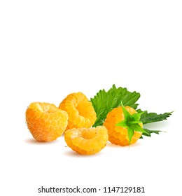 Fresh, nutritious and tasty raspberries. Bloom of raspberries. Symbols of berries. Elements for label design. Vector illustration. Berries ingredients in triangulation technique. Raspberries low poly.