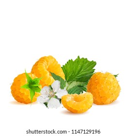 Fresh, nutritious and tasty raspberries. Bloom of raspberries. Symbols of berries. Elements for label design. Vector illustration. Berries ingredients in triangulation technique. Raspberries low poly.