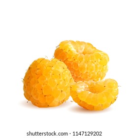 Fresh, nutritious and tasty raspberries. Bloom of raspberries. Symbols of berries. Elements for label design. Vector illustration. Berries ingredients in triangulation technique. Raspberries low poly.