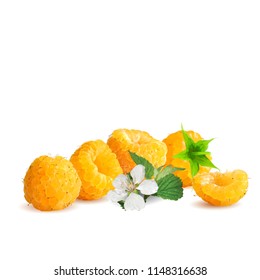 Fresh, nutritious and tasty raspberries. Bloom of raspberries. Symbols of berries. Elements for label design. Vector illustration. Berries ingredients in triangulation technique. Raspberries low poly.