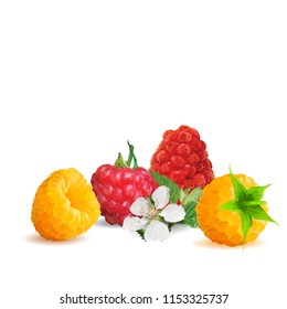 Fresh, nutritious and tasty raspberries. Bloom of raspberries. Symbols of berries. Elements for label design. Vector illustration. Berries ingredients in triangulation technique. Raspberries low poly.