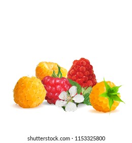 Fresh, nutritious and tasty raspberries. Bloom of raspberries. Symbols of berries. Elements for label design. Vector illustration. Berries ingredients in triangulation technique. Raspberries low poly.