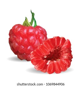 Fresh, nutritious and tasty raspberries. Symbols of berries. Elements for label design. Vector illustration. Berries ingredients in triangulation technique. Raspberries low poly.
