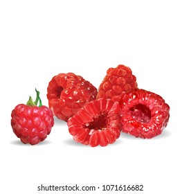 Fresh, nutritious and tasty raspberries. Symbols of berries. Elements for label design. Vector illustration. Berries ingredients in triangulation technique. Raspberries low poly.