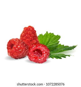 Fresh, nutritious and tasty raspberries. Symbols of berries. Elements for label design. Vector illustration. Berries ingredients in triangulation technique. Raspberries low poly.