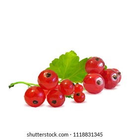 Fresh, nutritious and tasty red currant. Symbols of berries. Elements for label design. Vector illustration. Berries ingredients in triangulation technique. Red currant low poly.