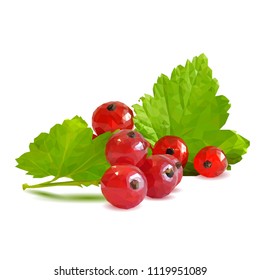 Fresh, nutritious and tasty red currant. Symbols of berries. Elements for label design. Vector illustration. Berries ingredients in triangulation technique. Red currant low poly.