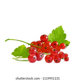 Fresh, nutritious and tasty red currant. Symbols of berries. Elements for label design. Vector illustration. Berries ingredients in triangulation technique. Red currant low poly.