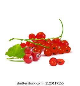 Fresh, nutritious and tasty red currant. Symbols of berries. Elements for label design. Vector illustration. Berries ingredients in triangulation technique. Red currant low poly.