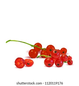 Fresh, nutritious and tasty red currant. Symbols of berries. Elements for label design. Vector illustration. Berries ingredients in triangulation technique. Red currant low poly.