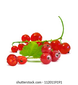Fresh, nutritious and tasty red currant. Symbols of berries. Elements for label design. Vector illustration. Berries ingredients in triangulation technique. Red currant low poly.