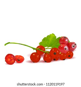 Fresh, nutritious and tasty red currant. Symbols of berries. Elements for label design. Vector illustration. Berries ingredients in triangulation technique. Red currant low poly.