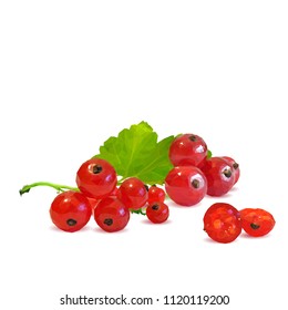 Fresh, nutritious and tasty red currant. Symbols of berries. Elements for label design. Vector illustration. Berries ingredients in triangulation technique. Red currant low poly.
