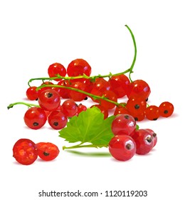 Fresh, nutritious and tasty red currant. Symbols of berries. Elements for label design. Vector illustration. Berries ingredients in triangulation technique. Red currant low poly.