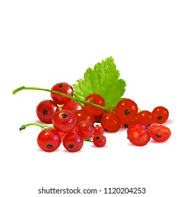 Fresh, nutritious and tasty red currant. Symbols of berries. Elements for label design. Vector illustration. Berries ingredients in triangulation technique. Red currant low poly.