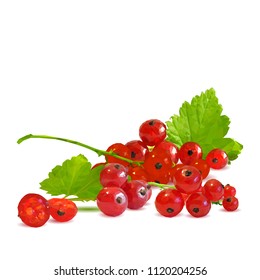 Fresh, nutritious and tasty red currant. Symbols of berries. Elements for label design. Vector illustration. Berries ingredients in triangulation technique. Red currant low poly.