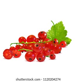 Fresh, nutritious and tasty red currant. Symbols of berries. Elements for label design. Vector illustration. Berries ingredients in triangulation technique. Red currant low poly.
