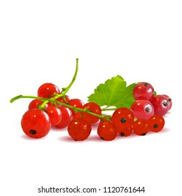 Fresh, nutritious and tasty red currant. Symbols of berries. Elements for label design. Vector illustration. Berries ingredients in triangulation technique. Red currant low poly.