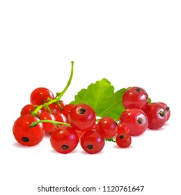 Fresh, nutritious and tasty red currant. Symbols of berries. Elements for label design. Vector illustration. Berries ingredients in triangulation technique. Red currant low poly.