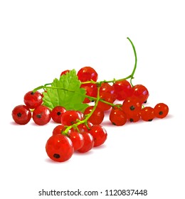 Fresh, nutritious and tasty red currant. Symbols of berries. Elements for label design. Vector illustration. Berries ingredients in triangulation technique. Red currant low poly.