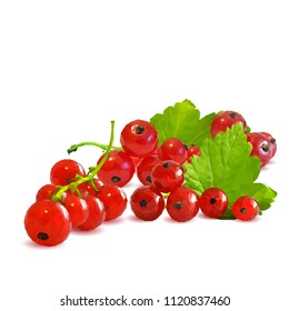 Fresh, nutritious and tasty red currant. Symbols of berries. Elements for label design. Vector illustration. Berries ingredients in triangulation technique. Red currant low poly.