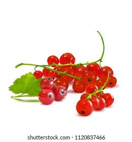Fresh, nutritious and tasty red currant. Symbols of berries. Elements for label design. Vector illustration. Berries ingredients in triangulation technique. Red currant low poly.