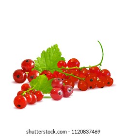 Fresh, nutritious and tasty red currant. Symbols of berries. Elements for label design. Vector illustration. Berries ingredients in triangulation technique. Red currant low poly.
