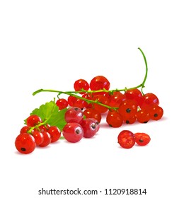 Fresh, nutritious and tasty red currant. Symbols of berries. Elements for label design. Vector illustration. Berries ingredients in triangulation technique. Red currant low poly.
