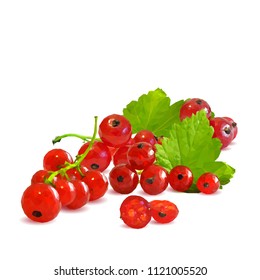 Fresh, nutritious and tasty red currant. Symbols of berries. Elements for label design. Vector illustration. Berries ingredients in triangulation technique. Red currant low poly.