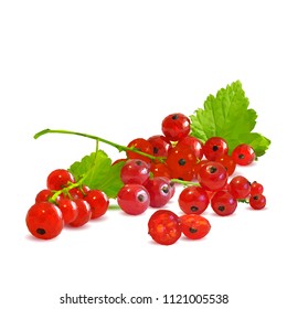 Fresh, nutritious and tasty red currant. Symbols of berries. Elements for label design. Vector illustration. Berries ingredients in triangulation technique. Red currant low poly.
