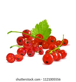 Fresh, nutritious and tasty red currant. Symbols of berries. Elements for label design. Vector illustration. Berries ingredients in triangulation technique. Red currant low poly.