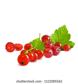 Fresh, nutritious and tasty red currant. Symbols of berries. Elements for label design. Vector illustration. Berries ingredients in triangulation technique. Red currant low poly.