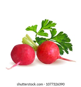Fresh, nutritious, tasty red radish  with herbs. Vector illustration. Vegetables ingredients in triangulation technique. Radish low poly.