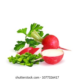 Fresh, nutritious, tasty red radish  with herbs. Vector illustration. Vegetables ingredients in triangulation technique. Radish low poly.