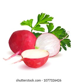 Fresh, nutritious, tasty red radish  with herbs. Vector illustration. Vegetables ingredients in triangulation technique. Radish low poly.