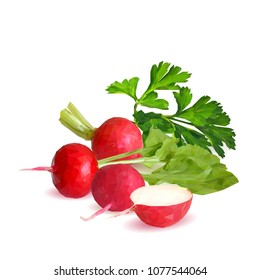 Fresh, nutritious, tasty red radish  with herbs. Vector illustration. Vegetables ingredients in triangulation technique. Radish low poly.