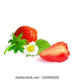 Fresh, nutritious and tasty strawberries. Bloom of strawberries. Elements for label design. Vector illustration. Berries ingredients in triangulation technique. Strawberries low poly.