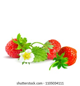 Fresh, nutritious and tasty strawberries. Bloom of strawberries. Elements for label design. Vector illustration. Berries ingredients in triangulation technique. Strawberries low poly.