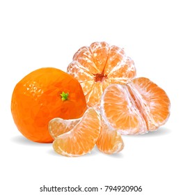 Fresh, nutritious and tasty tangerines. Symbols of fruits. Elements for label design. Vector illustration. Fruits ingredients in triangulation technique. Tangerines low poly.