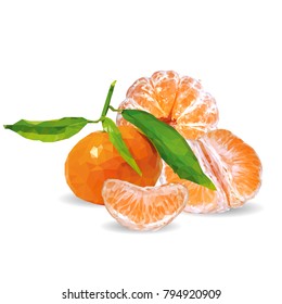 Fresh, nutritious and tasty tangerines. Symbols of fruits. Elements for label design. Vector illustration. Fruits ingredients in triangulation technique. Tangerines low poly.
