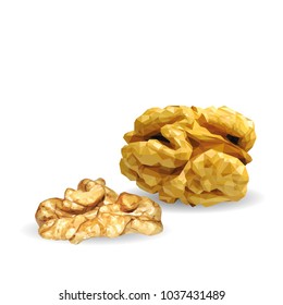 Fresh, nutritious, tasty walnut. Nuts ingredients in triangulation technique. Vector illustration. Nuts ingredients in triangulation technique. Walnut low poly.