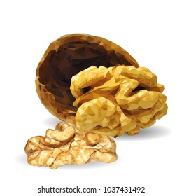 Fresh, nutritious, tasty walnut. Nuts ingredients in triangulation technique. Vector illustration. Nuts ingredients in triangulation technique. Walnut low poly.