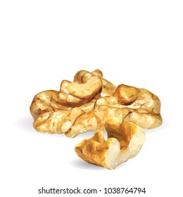 Fresh, nutritious, tasty walnut. Nuts ingredients in triangulation technique. Vector illustration. Nuts ingredients in triangulation technique. Walnut low poly.